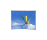 AUO G170ETN02.0 17 Inch Industrial LCD Panel With 16.7M Colors 1280 X 1024
