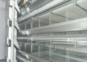 Quality Chicken Egg Livestock Farming Equipment Farmer Automatic Poultry Equipment wholesale