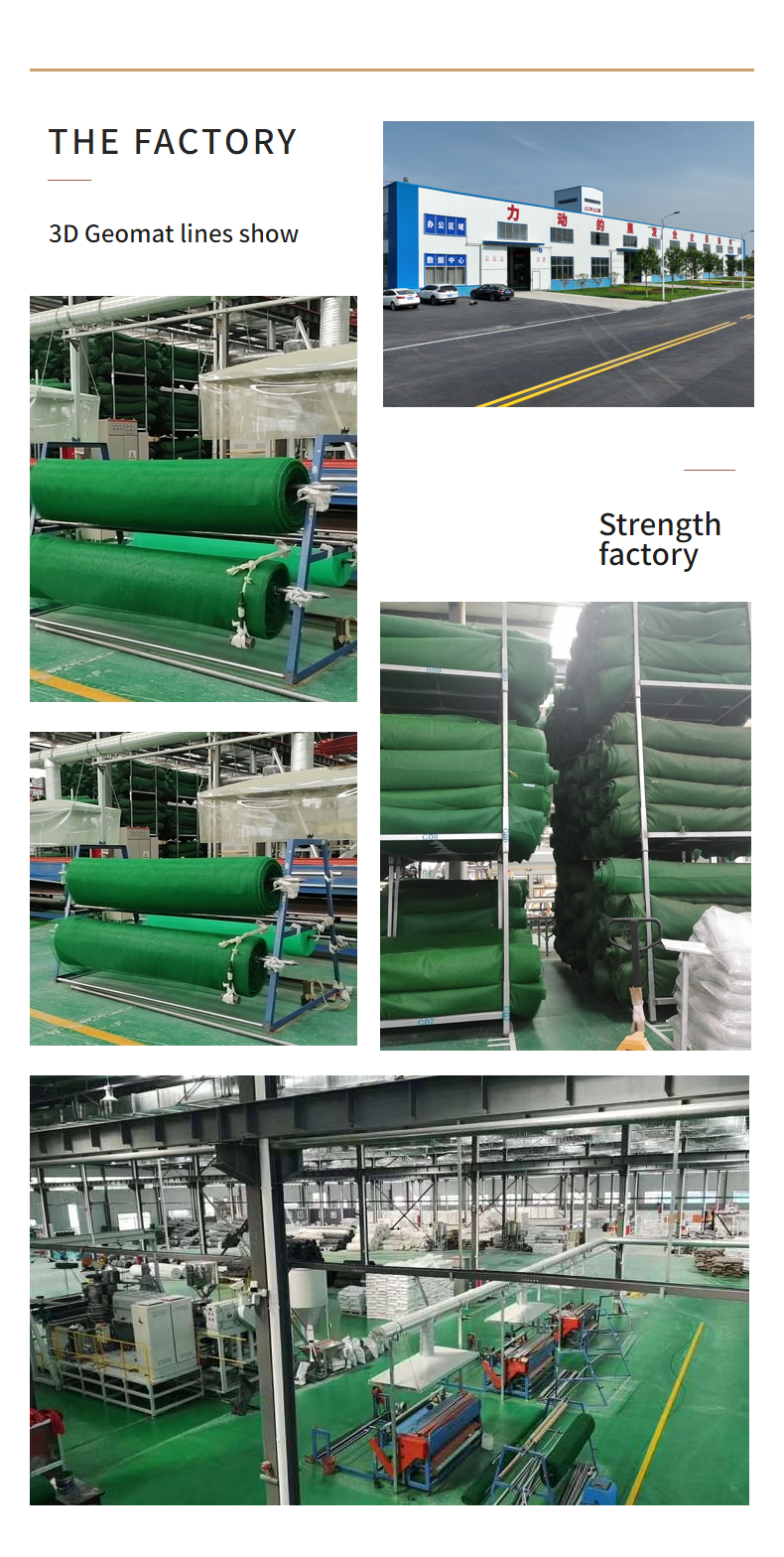 Modern Design HDPE Erosion Control Mat for Slope Protection in River and Mountain Projects