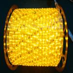 Orange outdoor led rope lights