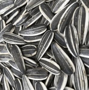 Quality Sunflower Seeds S3 The Perfect Combination for B2B Requirements wholesale