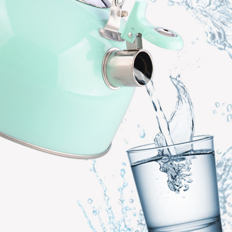 Household stainless steel electric OEM tea pot hot water whistling kettle