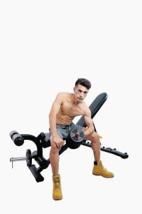 Quality Adjustable Rugged Commercial Flat Incline Bench With Leg Extension wholesale