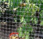 Achieve Optimal Ground Stabilization with Biaxial Stretch Geogrid Fence