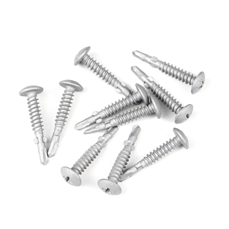 Standard Custom Screw Stainless Steel Phillips Truss Head Self Drilling Screw Tapping Screw