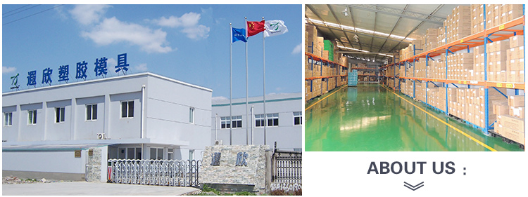 Plastic Injection Mold Making HASCO ABS PP Water Filter Mould