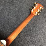 Custom HUMMINGBIRD DOVE Acoustic Guitar in Natural