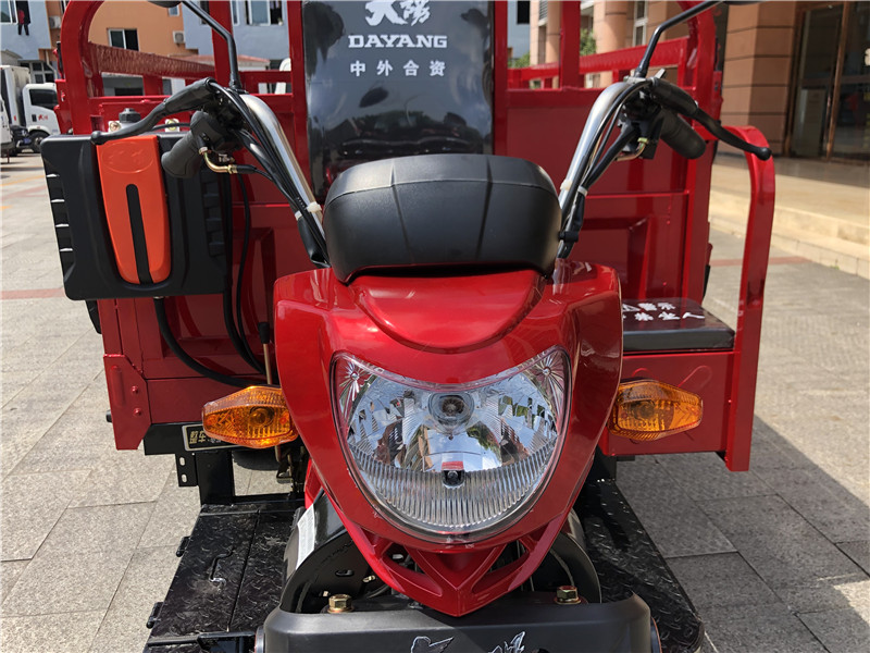 Powerful Engine 250cc Three Wheel Motorcycle for Heavy Loading and Customized Needs