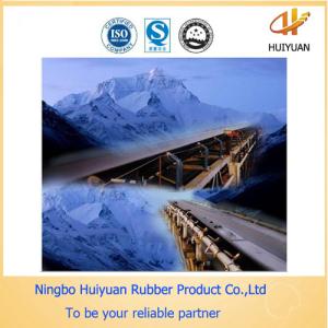 Quality Cold Resistant Belt for Conveying Materials to Cold Storage (EP100-EP500) wholesale