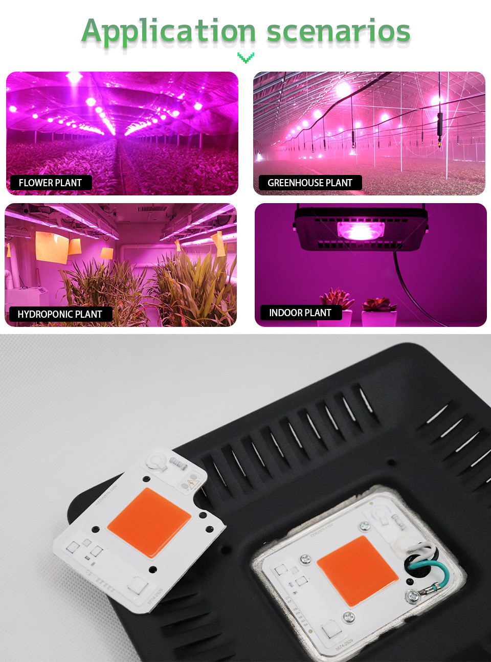 AC110V 50W LED Chip Pink ODM LED Module COB With Driver On Board