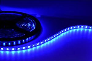 Quality Waterproof SMD2835 Flexible LED Strip Lights For Theme Park Decoration wholesale