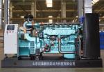 Gas Power Generator Turbine Generator Biogas/Natural Gas/LPG/Propane Generator