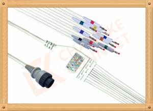 Quality Fukuda MSC 8111 10 Lead Ecg Lead Wires Banana AHA Non - Toxic wholesale