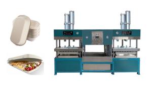 Quality Replace Foam Paper Pulp Burger Box Meat Tray Forming Machine wholesale