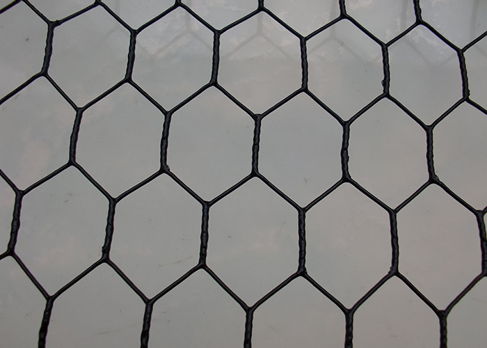 PVC Coated Galvanized Chicken Hexagonal Wire Mesh Rust Resistant