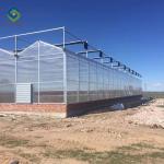 Commercial Garden Transparent 7.5m PC Sheet Greenhouse