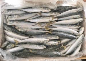 Quality 90g Frozen Fishing Bait wholesale