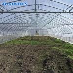 Tunnel Plastic Film Greenhouse / Vegetable Greenhouse Climate Control Economical