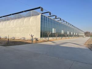 Quality Commercial Greenhouse PE Film Plastic Agriculture Greenhouse for USA/Canada/Australia wholesale