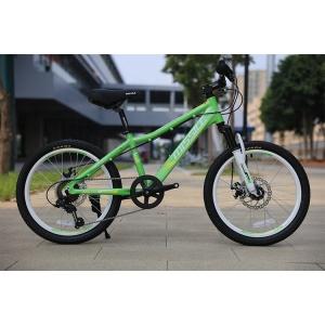 Quality Suspension Fork 20 Inch Children Bicycle For Girls Model Kid Bike wholesale