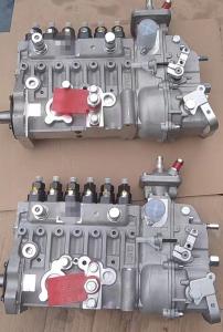 Quality 4994681 10403566225 6BTA5.9 Fuel Injection Pump cummins wholesale
