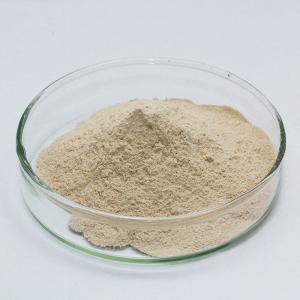 Quality Pharmaceutical Enzymes Of Pancreatic Juice Customized Pancreatin Powder Food Grade wholesale