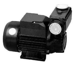 China TPS  Series Domestic Water Pumps Precision Casting Motor Housing 1HP / 0.75KW on sale