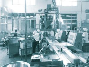 Quality Can Stainless Steel Food Grade Weigher Packing Machine wholesale