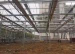 Agricultural Glass Greenhouse For Tomato Lettuce And Strawberry Growing