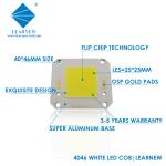 4046 SERIES COB LED Chips 45W-55W 80W-110W 2700-6500K 110LM/W 2300-3200mA for