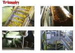 Industrial Fresh Apple Processing Line , Fruit Processing Machine Aseptic Bag