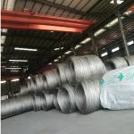 Low Carbon SAE 1006 SAE 1008 Cold Heading Steel Wire Rod