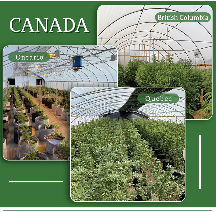 LED Lighting System Light Dep Greenhouse With Aluminum Alloy Frame
