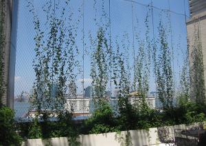 Quality Outdoor Custom Decortaive 3.0mm Stainless Steel Rope Mesh Green Wall Cable Network Plant Climbing wholesale