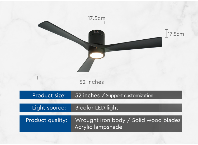 ceiling fan with light
