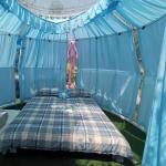 Customized Sunroom Glass House Outdoor Aluminium Sunroom Green Geodesic Dome