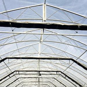 Quality Medical Plant Growing Fully Auto Greenhouse Led Grow Light 100% Automated Light Deprivation Blackout Greenhouse wholesale