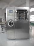Mini Freeze Drying Machine