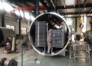 Quality Candy Vacuum Lyophilizer Freeze Dryer 100Kg 200Kg 300Kg wholesale