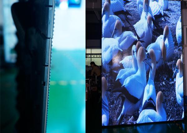 Shop Window High Definition LED Display RGB , LED Stage Curtain Screen 6000 Nits