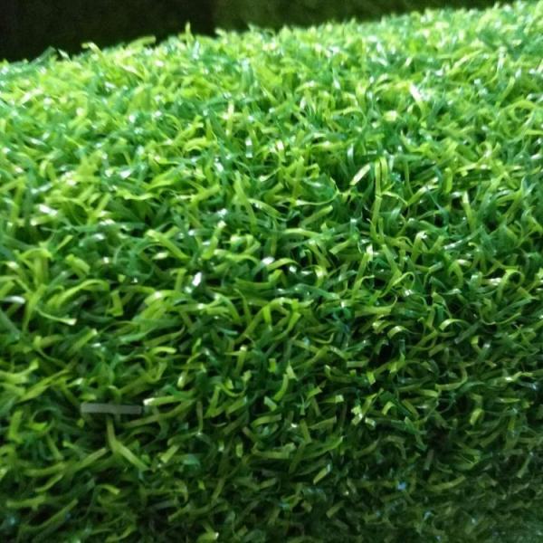 High Density Curly Sports Artificial Grass For Golf Gateball Basketball Two