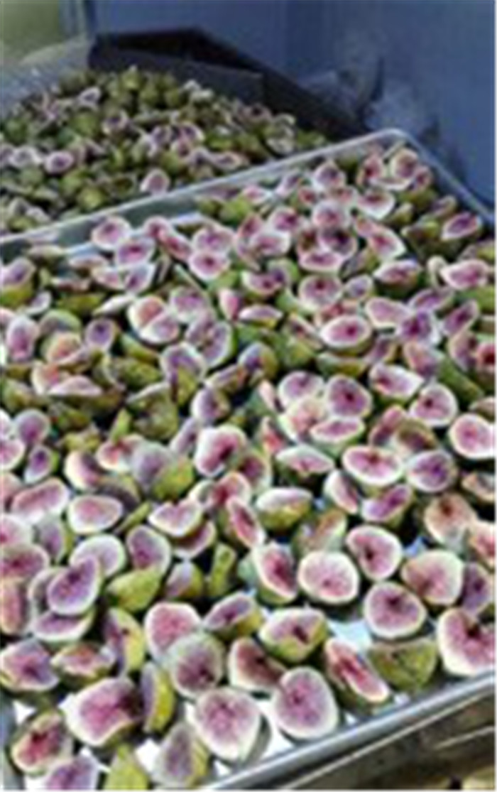 Fruits Vegetables 10m2 Vacuum Freeze Drying Machine