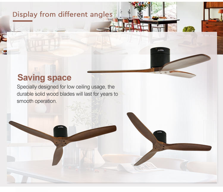 ceiling fan