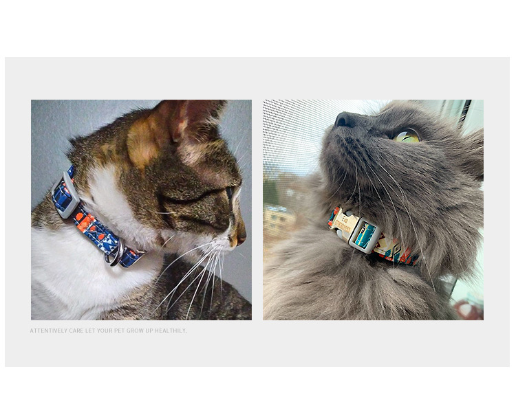 Heat Transfer puppy harness and leash rubber mixture available