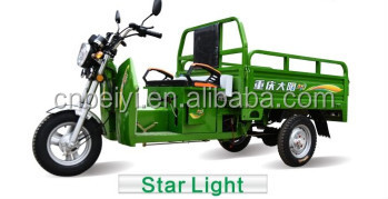 Egypt Market 250cc Cargo Rickshaw with 350kg-3000kg Loading Capacity and 1000W Power