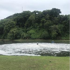 Quality TSR High Speed Surface Aerator For Wastewater Treatment wholesale