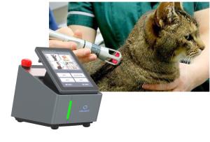 Quality 8W Pet Laser Therapy Machine For Acute Chronic Conditions wholesale
