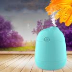 120ml Cool Mist Ultrasonic Air Humidifier For Office