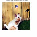 3inch pet toy tennis ball with custom logo printed