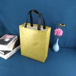 Spunbonded Reusable Non Woven Shopping Bags Biodegradable Non Woven Fabric Bag